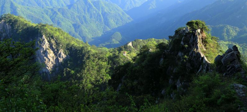 Mount Wanfo