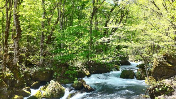 Towada-Hachimantai National Par
