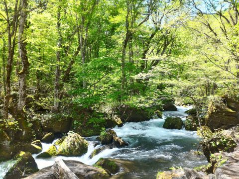Towada-Hachimantai National Park