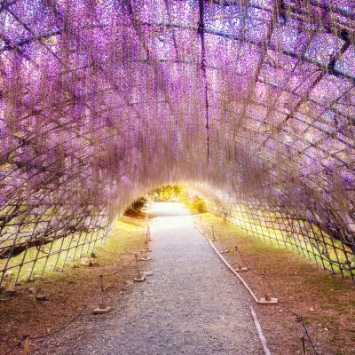 Отели рядом с достопримечательностью «Shiranoe Botanical Garden»