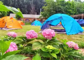 世園公園露營地