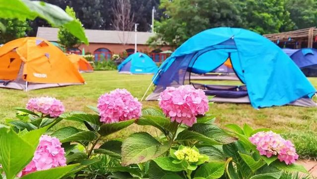 Beijing Expo Park - Campsite