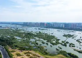 Xiaoyihe Wetland Park