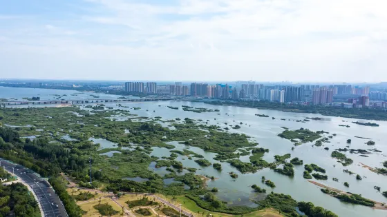 小沂河濕地公園