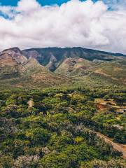 Molokaʻi Forest Reserve