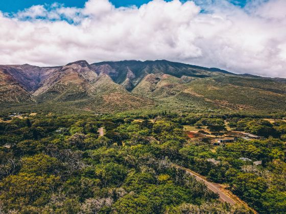 Molokaʻi Forest Reserve