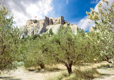 Chateau des Baux de Provence