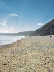 Charmouth Beach