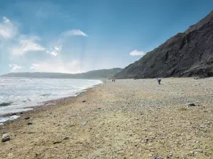 Charmouth Beach