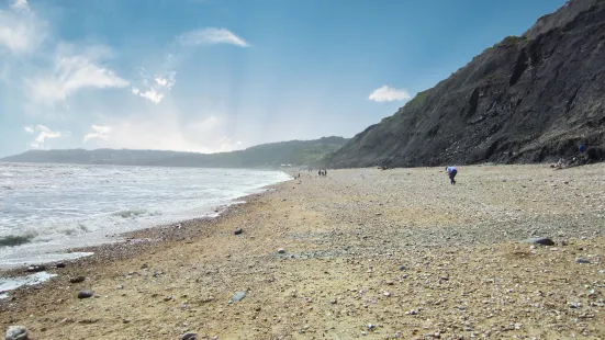 Charmouth Beach