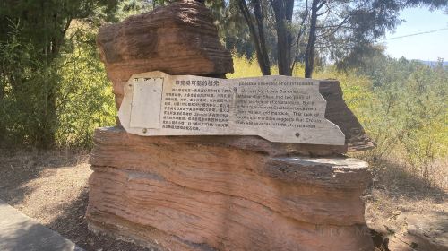 Chengjiang Fossil Site