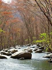 Taehaksan Natural Recreation Forest