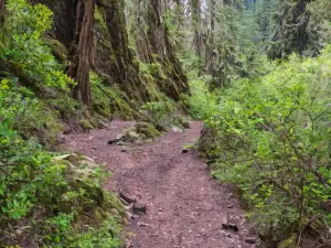 Dragoon Gulch Trail Head