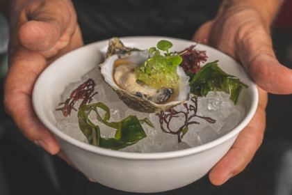 Kaori Fusion Restaurant by Victor Planas