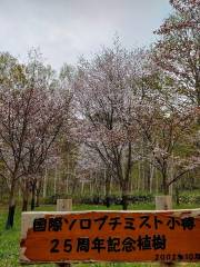 Nagahashi Naebo Park