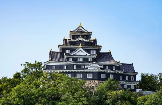 岡山城門票成人