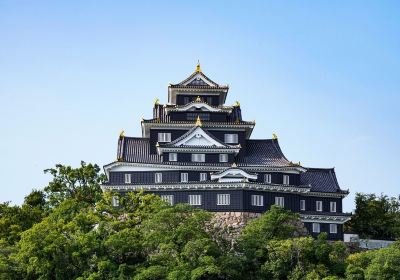 Castillo de Okayama