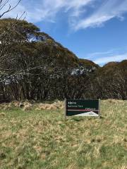 Alpine National Park