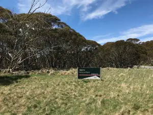 Alpine National Park