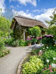 RHS Garden Rosemoor