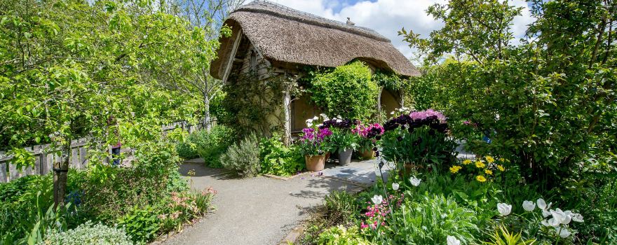 RHS Garden Rosemoor