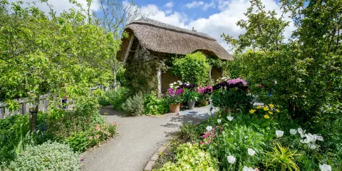 皇家園藝學會羅斯莫爾花園