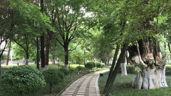 Colorful Wetland Park