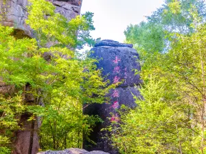Huagangyan Shilin Guojia Dizhi Park