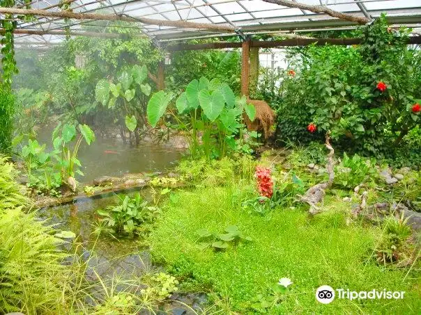 Hotels near Butterfly House Haga Ocean