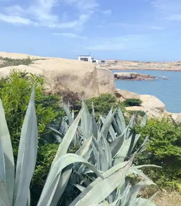 鄰近壇南灣七號沙灘的酒店