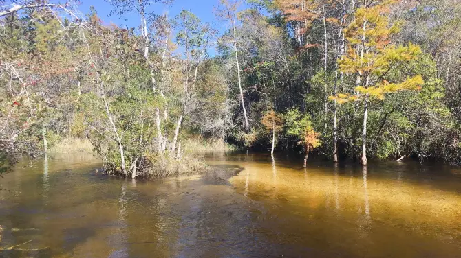 5_Turkey Creek Nature Trail