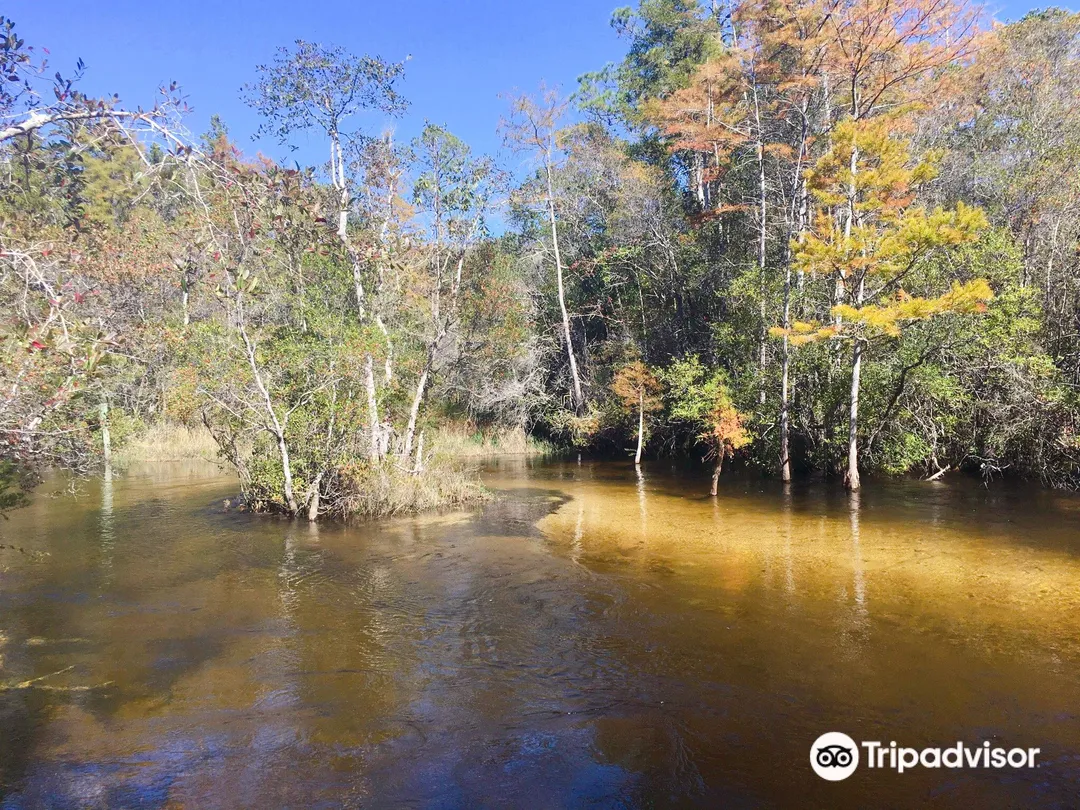 5_Turkey Creek Nature Trail