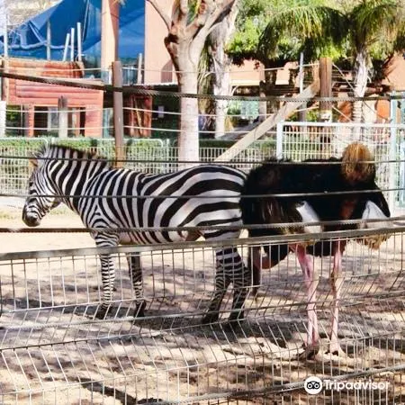 2_Hai Park Kiryat Motzkin