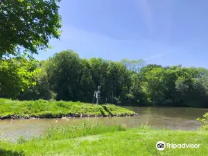 Ziegelwiese