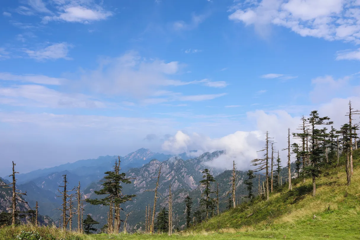 4_朱雀國家森林公園