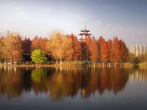 洋湖濕地公園