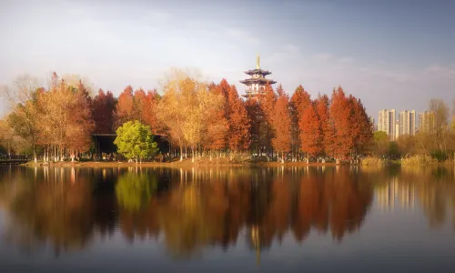 Yanghu Wetland