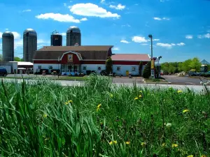 Freddy Hill Farms