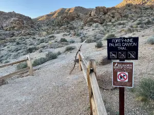 Fortynine Palms Oasis