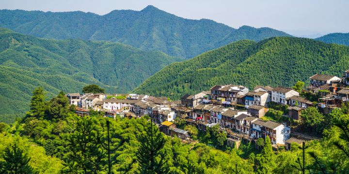 Mulihong