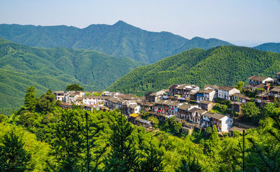 Mulihong