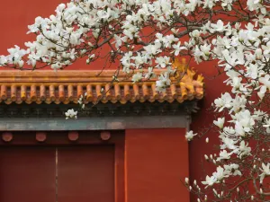 천단 공원