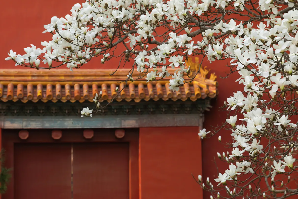 2_天壇公園