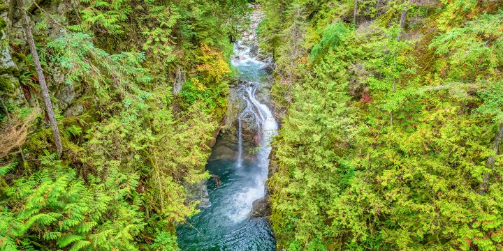 Lynn Canyon Park