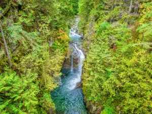 Lynn Canyon Park