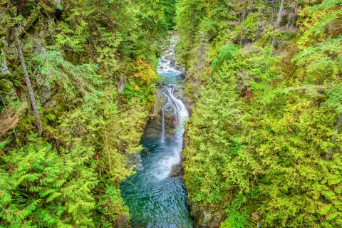 Lynn Canyon Park
