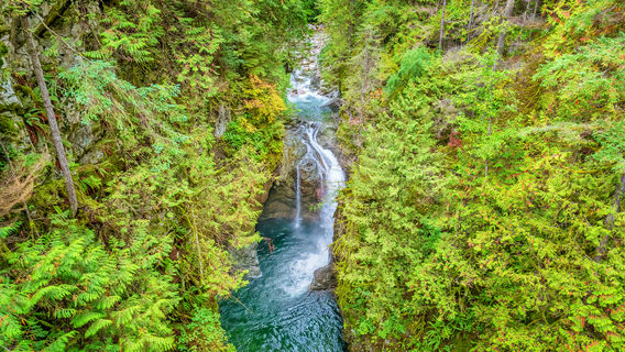 Lynn Canyon Park