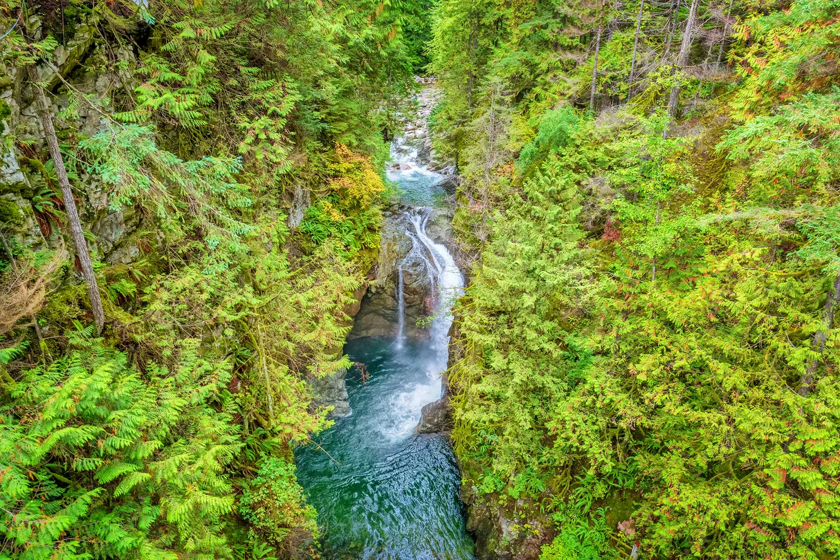 4_Lynn Canyon Park