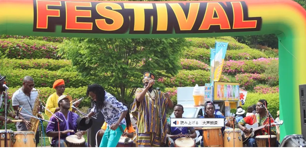Africa Heritage Festival in Yoyogi Park | Tokyo