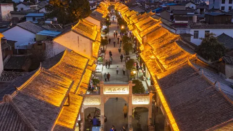 【清風メダカ】　　黄幹之　体外光　　♂2♀4 寄養家庭分享- 打開家門讓愛住進來，寄養家庭招募-家扶基金會